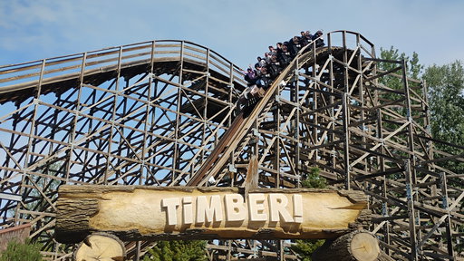 Timber