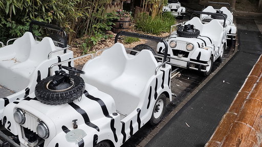 Safari-Jeeps