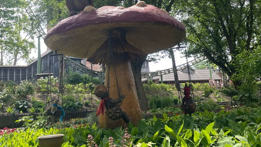 Blumenmeer-Bootsfahrt