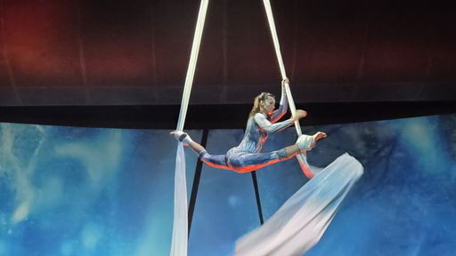 LEGOLAND® Winter Varieté