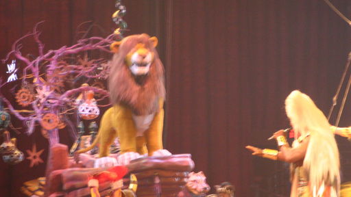 Festival of the Lion King