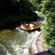 Bengal Rapid River
