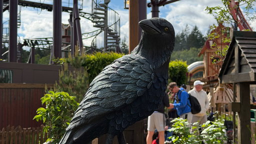 Raven
