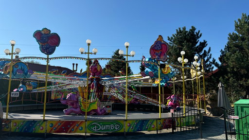 LoopingFuchs