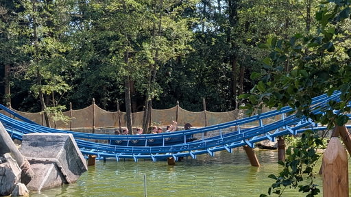 Donnervind