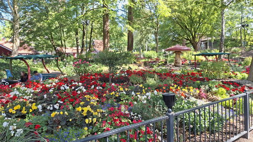 Blumenmeer-Bootsfahrt