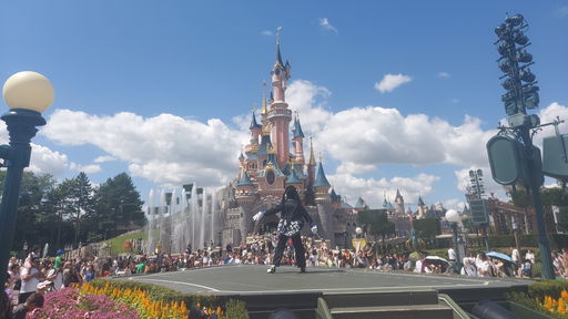 Sleeping Beauty Castle