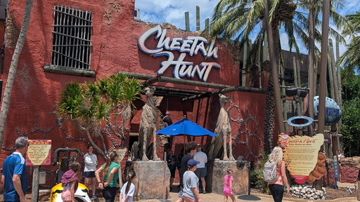 Cheetah Hunt