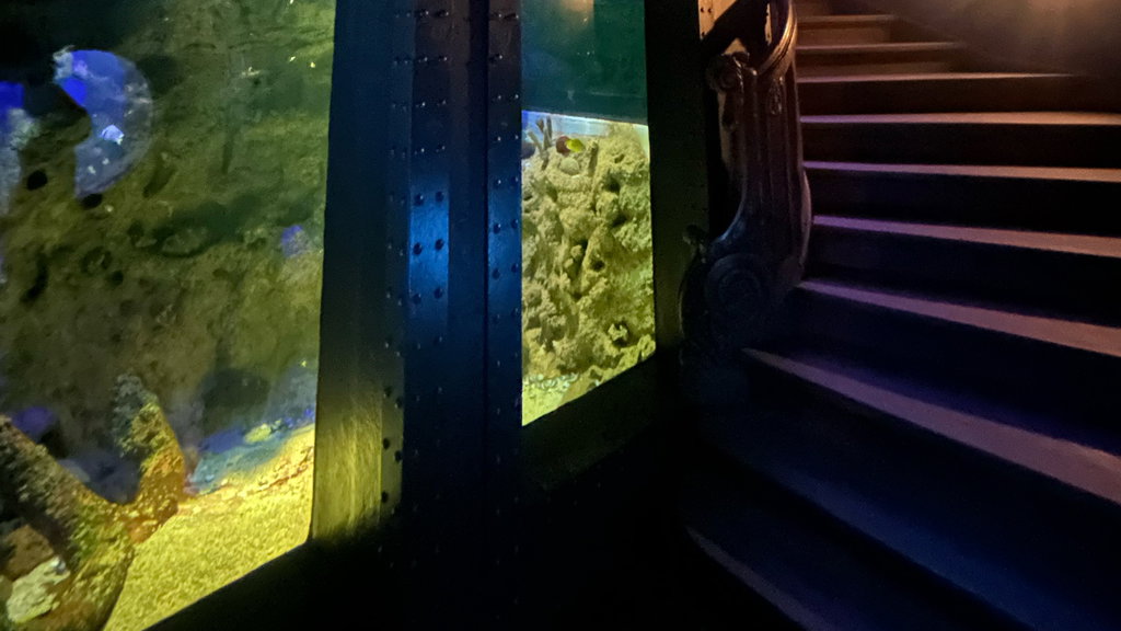 Le Nautilus