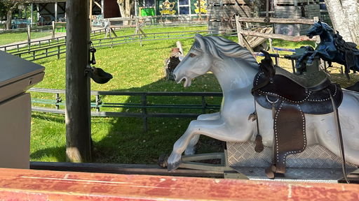 Pferdebahn Hoppel Gockel