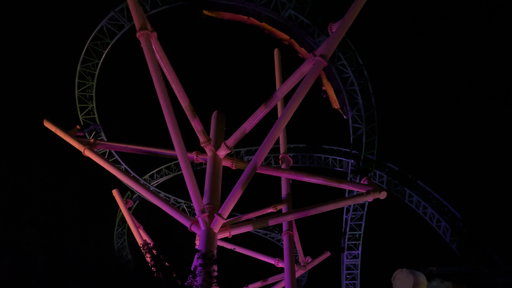 Cheetah Hunt