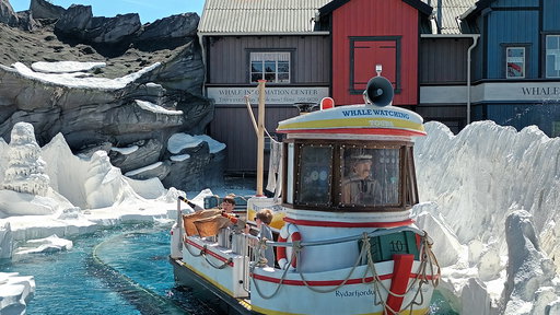 Whale Adventures - Northern Lights