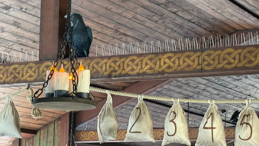 Raven