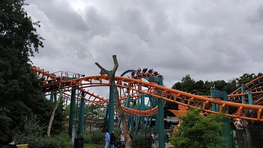 Condor