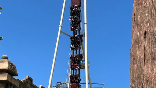 Cobra