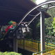 Froschbahn