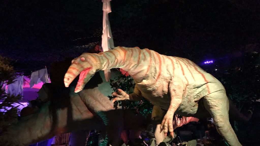 Madame Freudenreich Curiosités