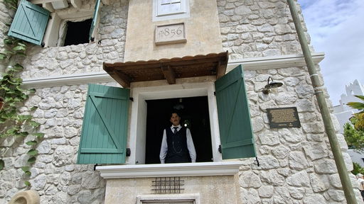 Nikola Teslas Teorija Elektra