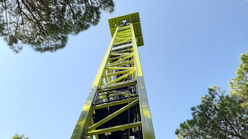 Bruno