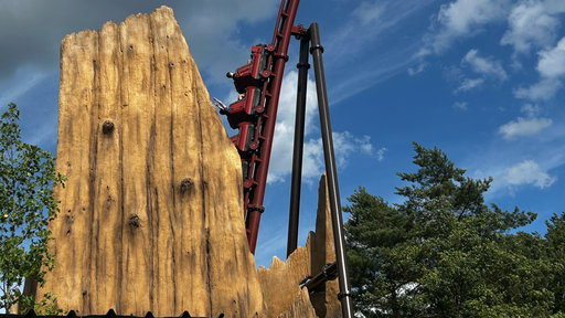 Fireline Redwood