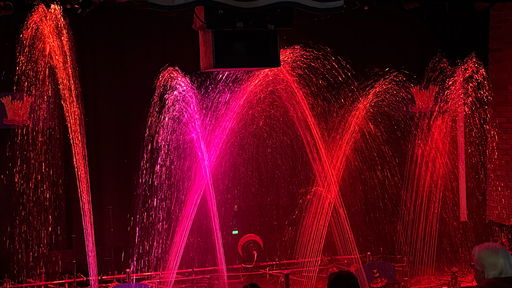 Water Show Extravaganza