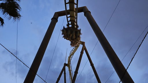 Flying Dinosaur (ザ・フライング・ダイナソー)