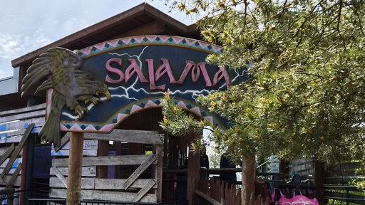 Salama