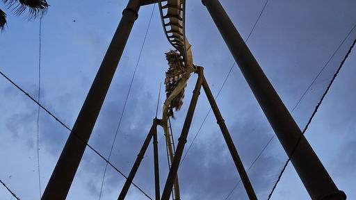 Flying Dinosaur (ザ・フライング・ダイナソー)