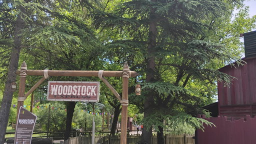 WoodStock Express