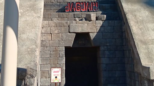 Jaguar!