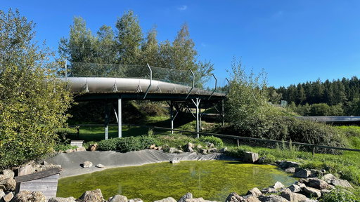 Bobrodelbahn