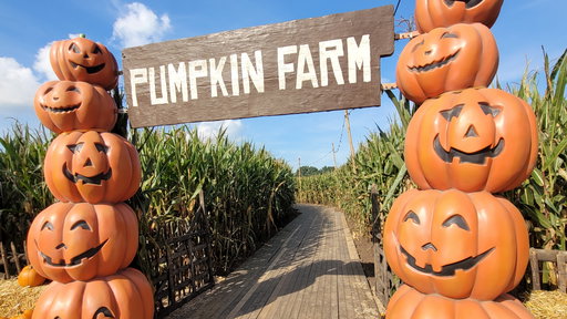 Pumpkin Farm