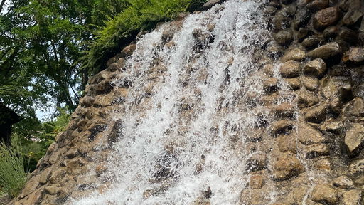 Blumenmeer-Bootsfahrt