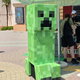 Meet the Mobs Trail