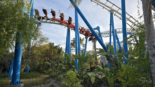 Kumba (הקומבה)