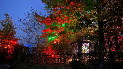 Düsterer Märchenwald