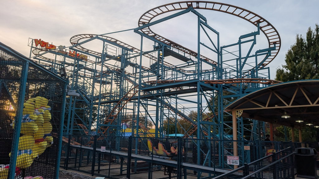 Wild Mouse