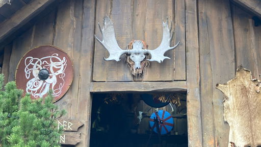 WODAN - Timburcoaster