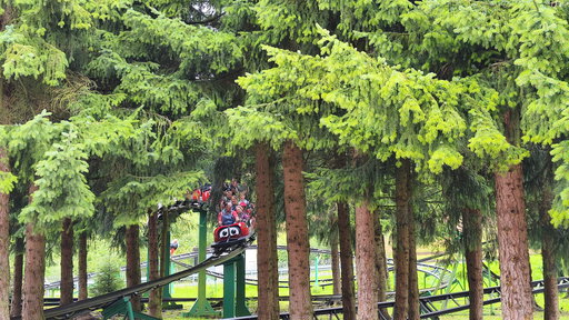 Marienkäferbahn