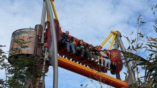 Vild Swing