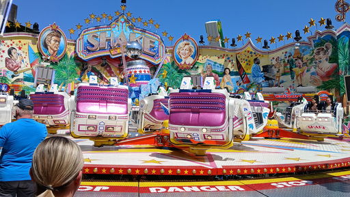 Shake & Roll (Schäfer)