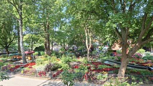 Blumenmeer-Bootsfahrt