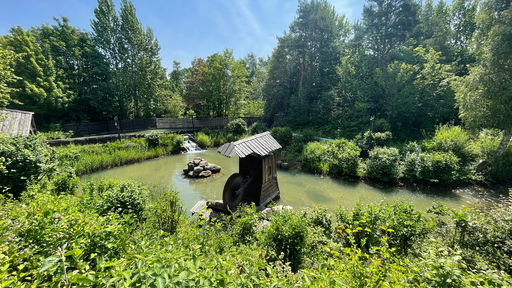 Wildwasserfahrt - Der Wasserwolf am Ilmensee