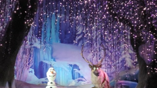 Frozen Ever After