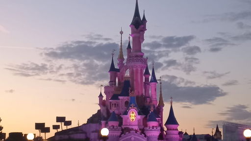 Sleeping Beauty Castle