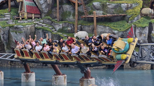 Hiccup's Wing Gliders