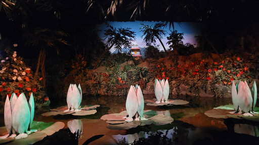 De Indische Waterlelies