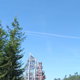 Fireline Redwood