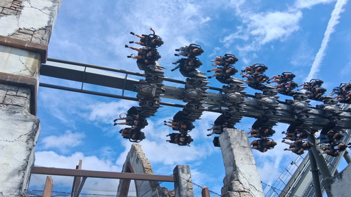 The Swarm