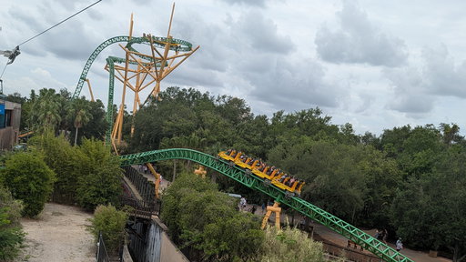 Cheetah Hunt